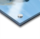 JBS 8465 Acrylic print