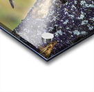 JBS 9742 Acrylic print