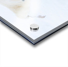 JBS 8373 Acrylic print