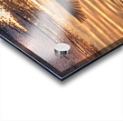 JBS 5877  Acrylic print