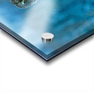 jbs 5420-2 Acrylic print