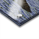 JBS 23852 Acrylic print