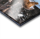 JBS 5494  Acrylic print