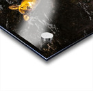 JBS 5478 Acrylic print