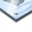 JBS 9392 Acrylic print