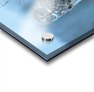 JBS 5393 Acrylic print