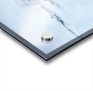 JBS 9336 Acrylic print