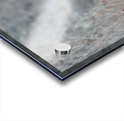 JBS 6219 Acrylic print