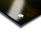 ZJS 9890 Acrylic print