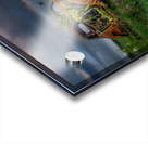 ZJS 9866 Acrylic print