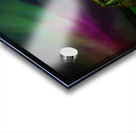 ZJS 9879 Acrylic print