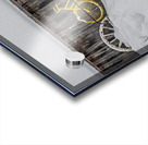 ZJS 9138 Acrylic print