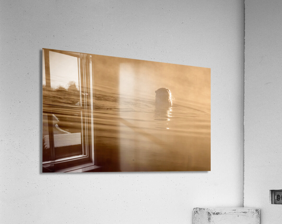 DSC 1719  Acrylic Print