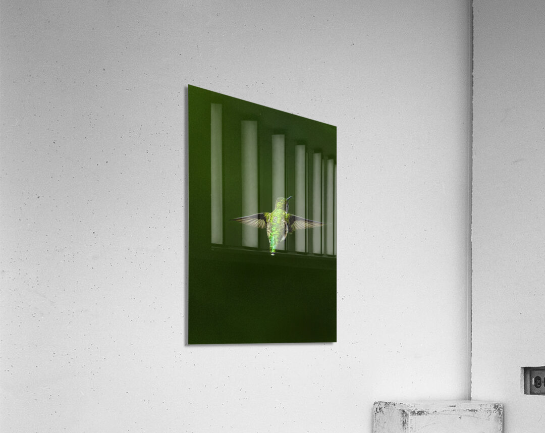 JBS 1467 Acrylic Print