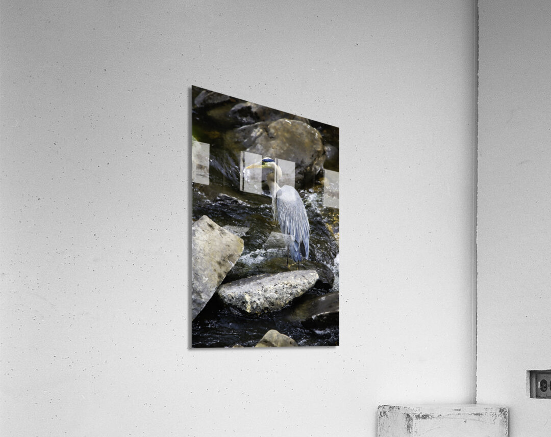 JBS 1574 Acrylic Print