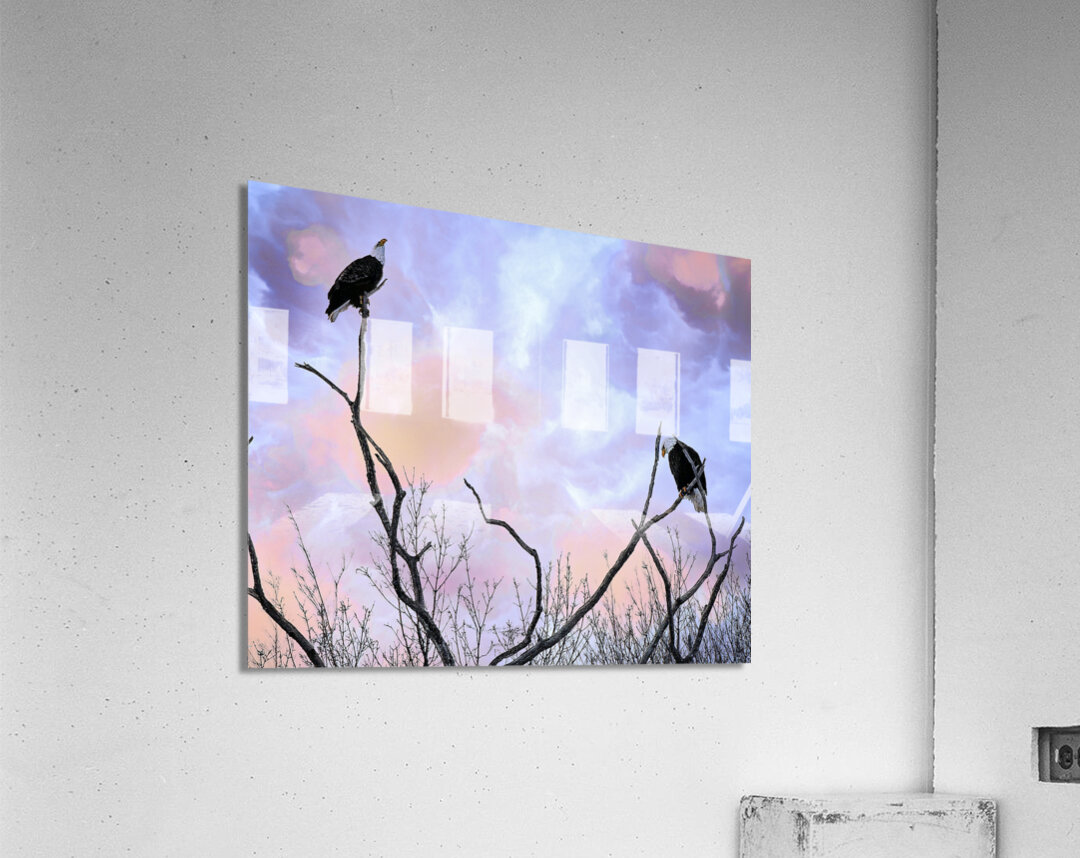 DSC 0357  Acrylic Print