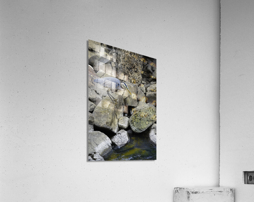 JBS 1629 2 Acrylic Print