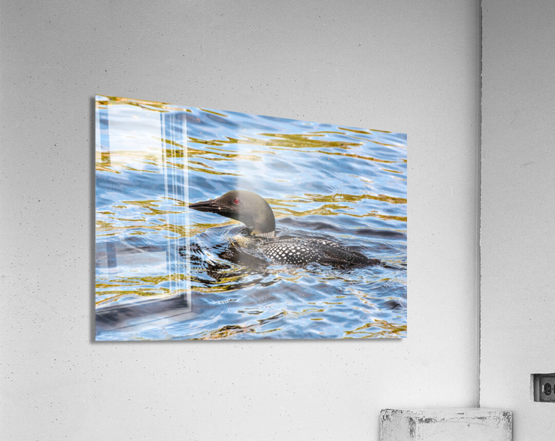 JBS 2192  Acrylic Print