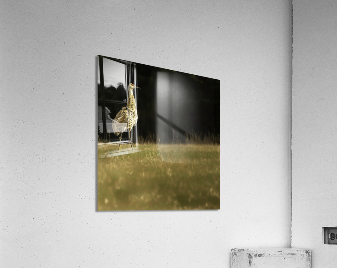 JBS 0909 Acrylic Print