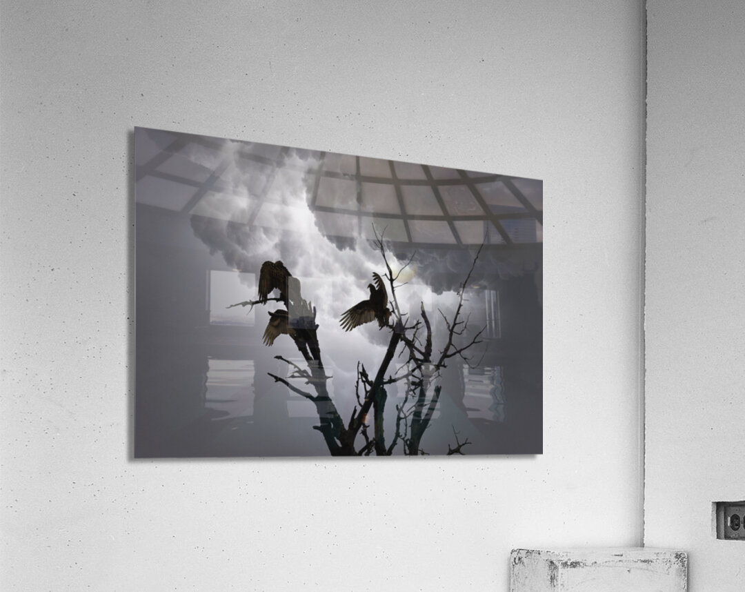 JBS 5291  Acrylic Print