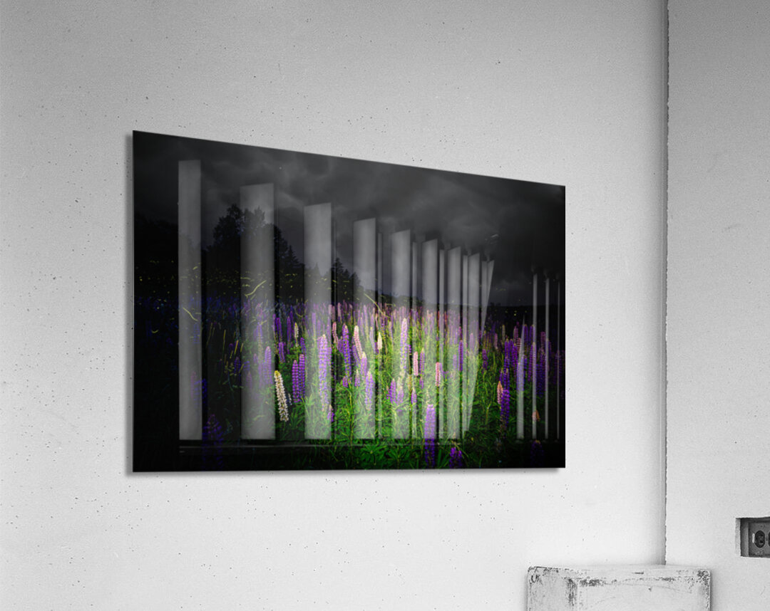 ZJS 7780  Acrylic Print