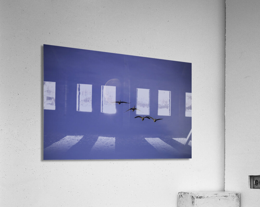 JBS 5264  Acrylic Print