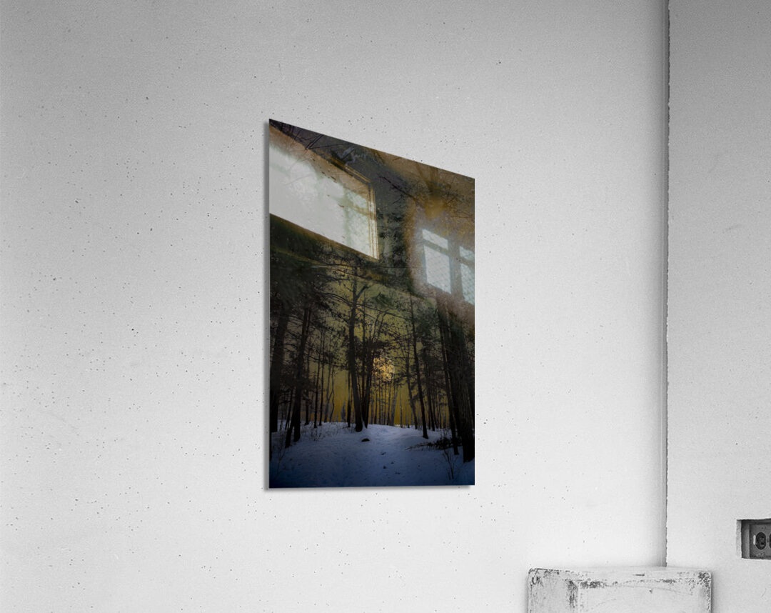 JBS 8747  Acrylic Print