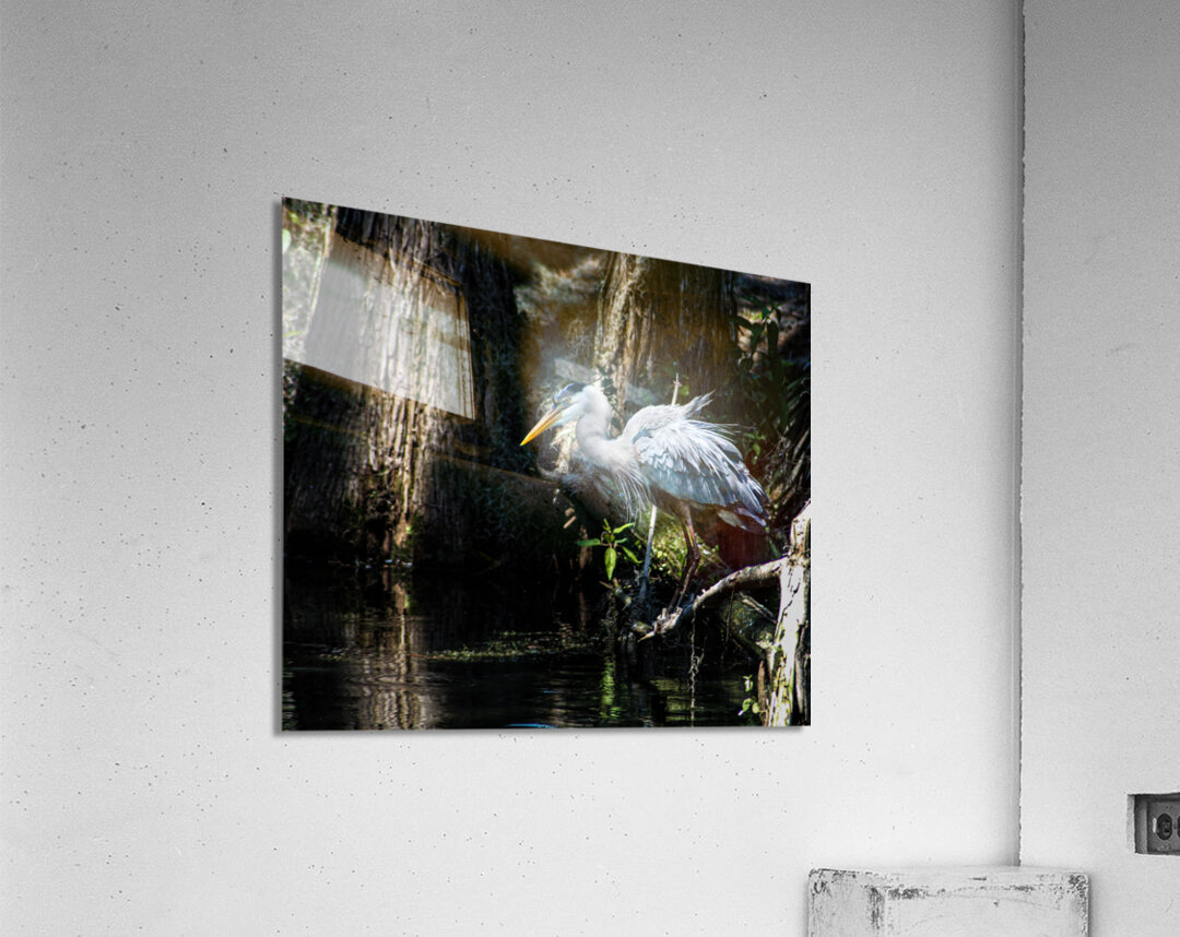 DSC 0216 2 Acrylic Print