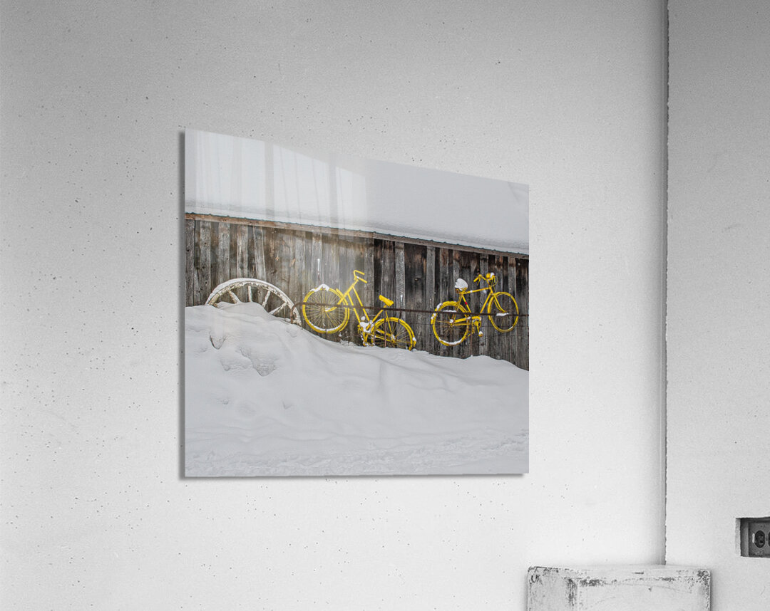 ZJS 9138 Acrylic Print