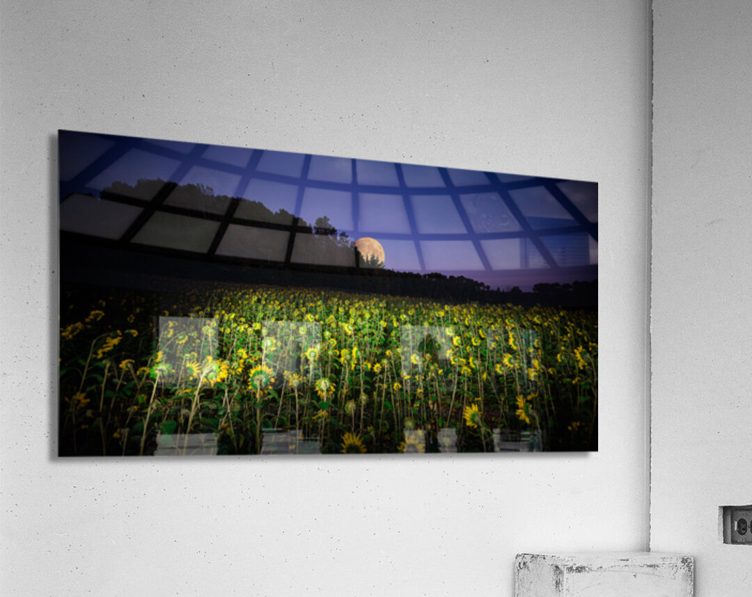 ZJS 8327  Acrylic Print