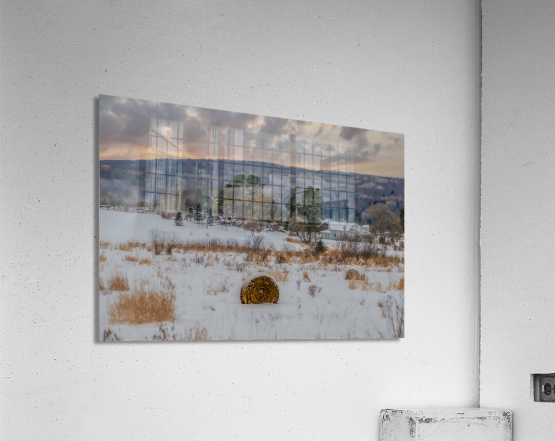 ZJS 9136  Acrylic Print