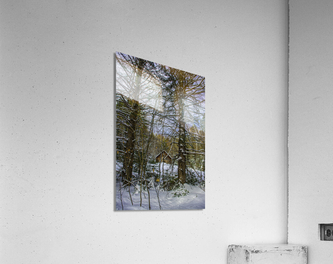 JBS 5217 Acrylic Print