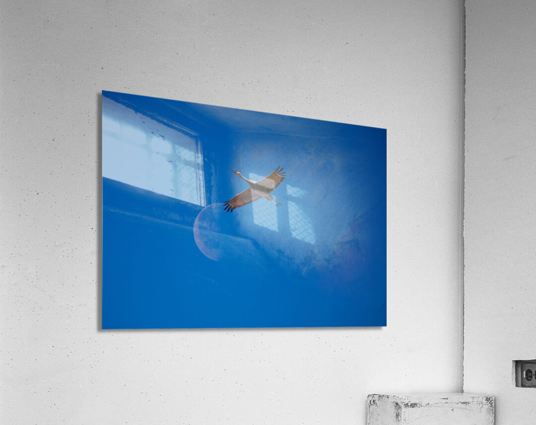 Sandhill and Moon Acrylic Print