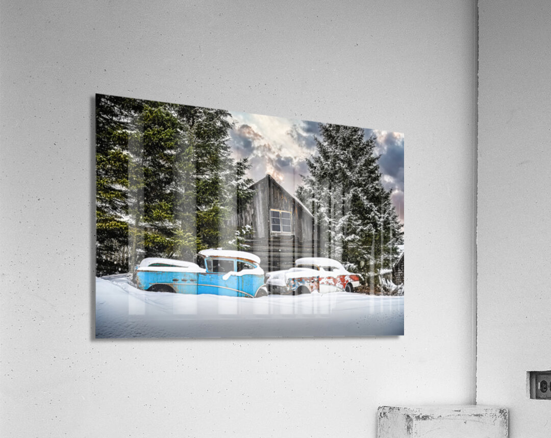 ZJS 9144  Acrylic Print