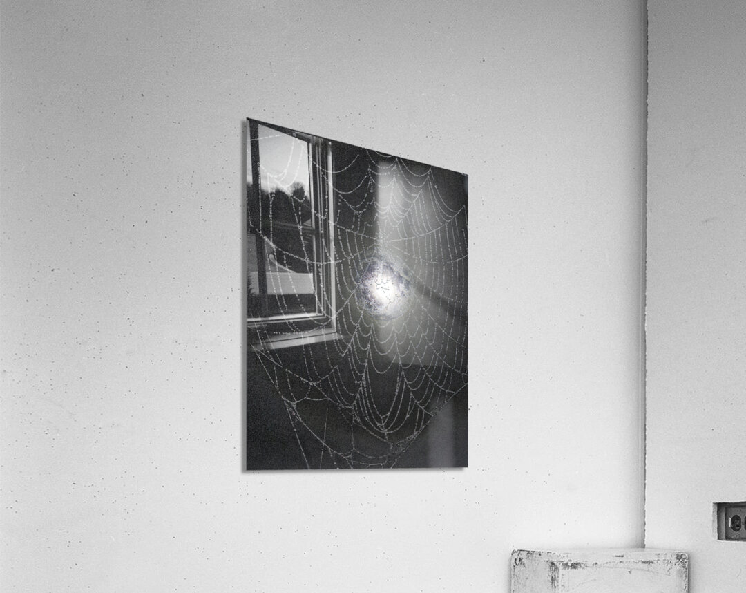 ZJS 8300  Acrylic Print