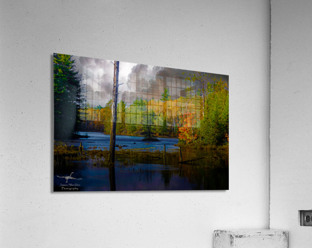  JBS4221  Acrylic Print