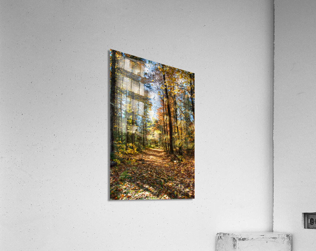 JBS 7125  Acrylic Print