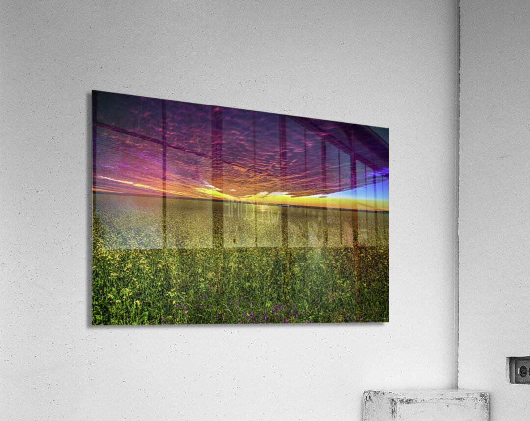 JBS 3554  Acrylic Print