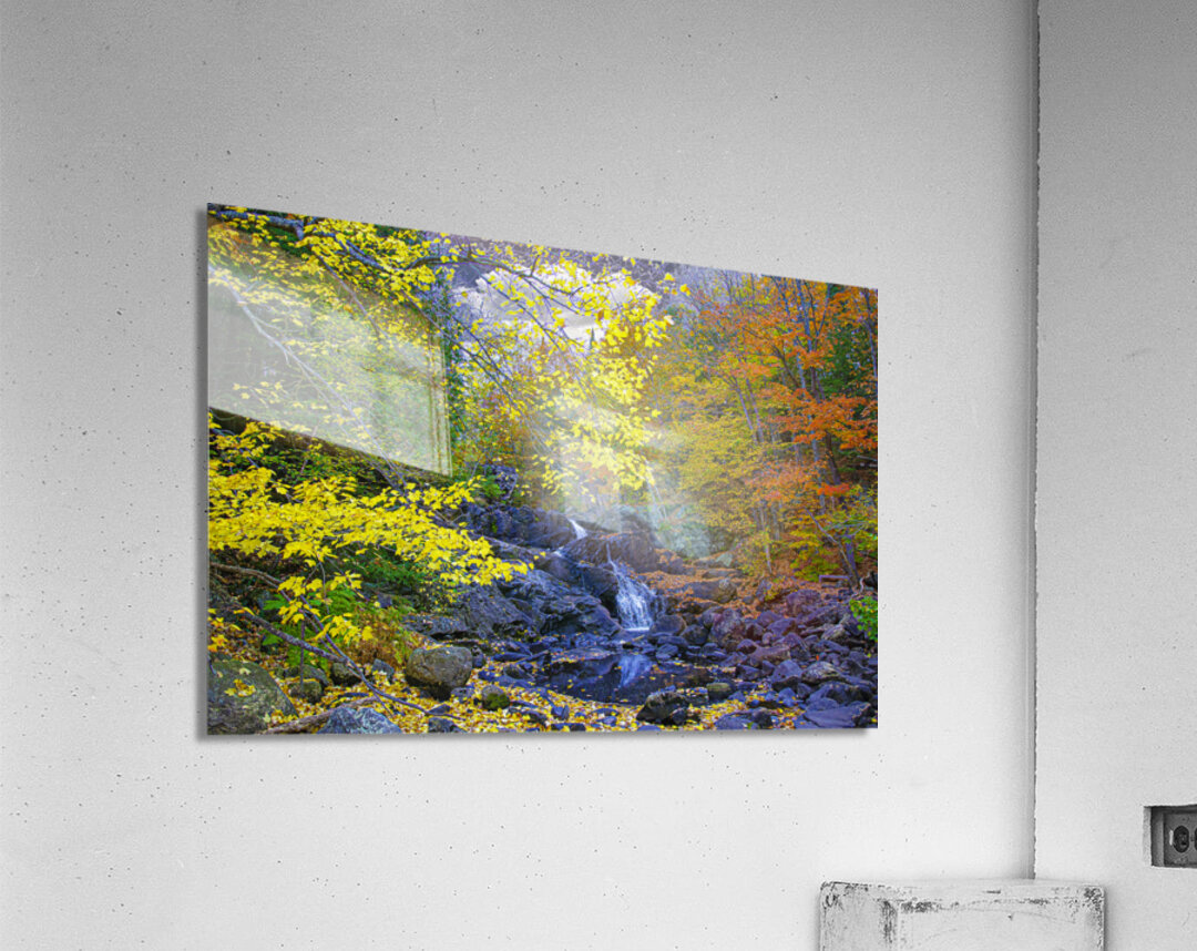 ZJS 5787  Acrylic Print