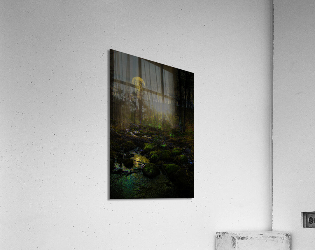 JBS 9682  Acrylic Print