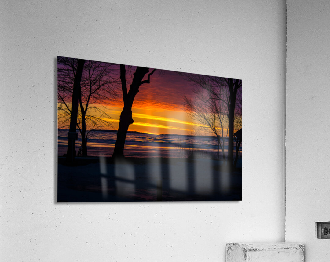 JBS 9799 Acrylic Print