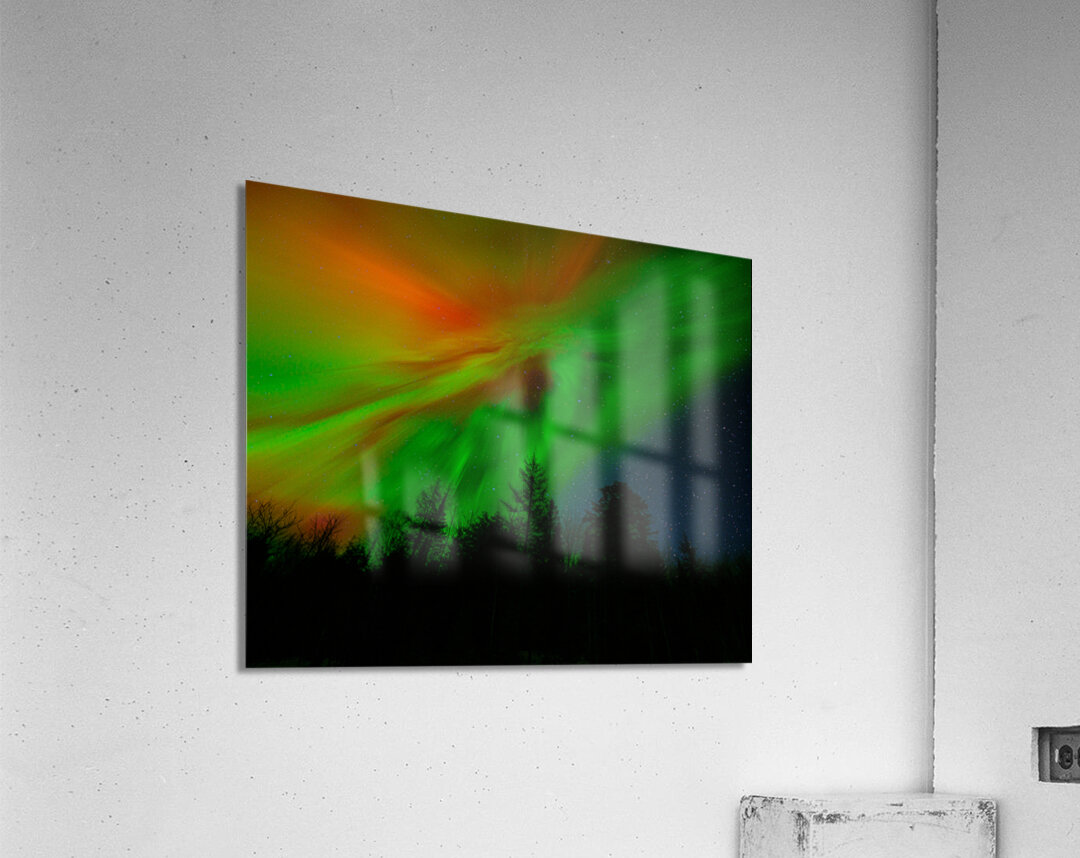 DSC 4390  Acrylic Print