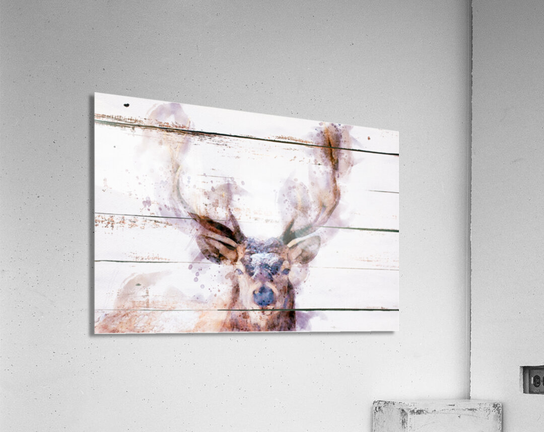 elk2 wc Acrylic Print