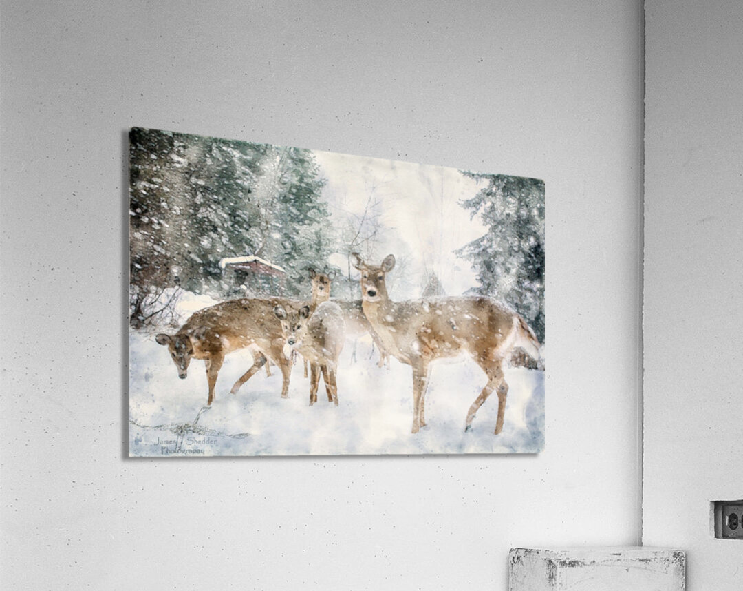 JBS 3204 2 Abstract Acrylic Print