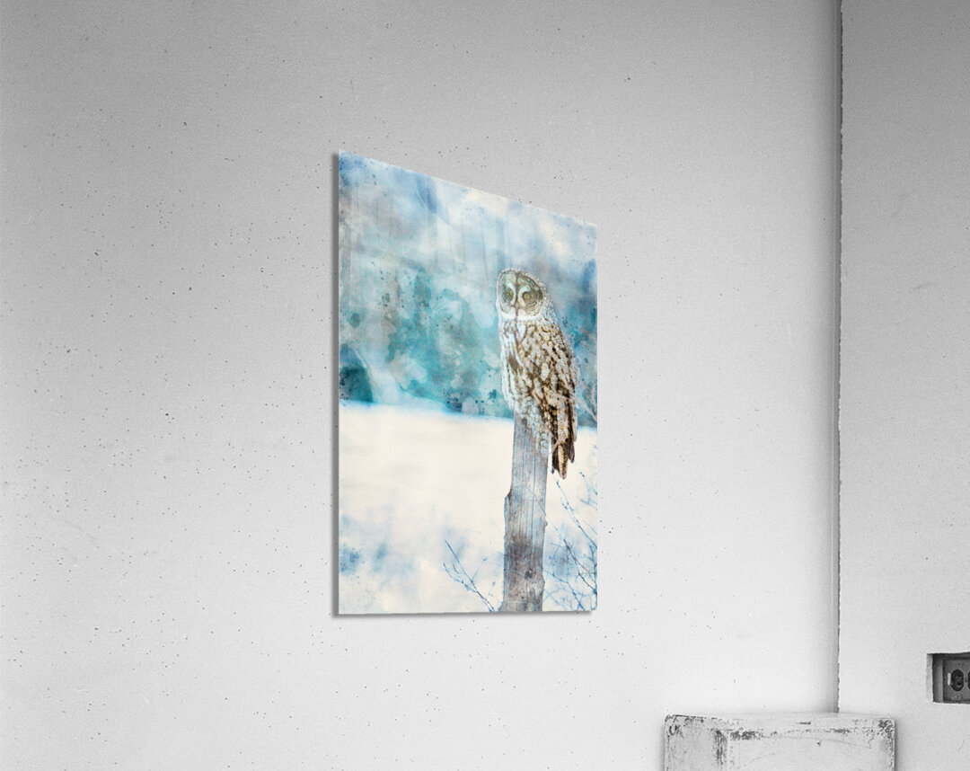 jbs 5420 owl abstract Acrylic Print