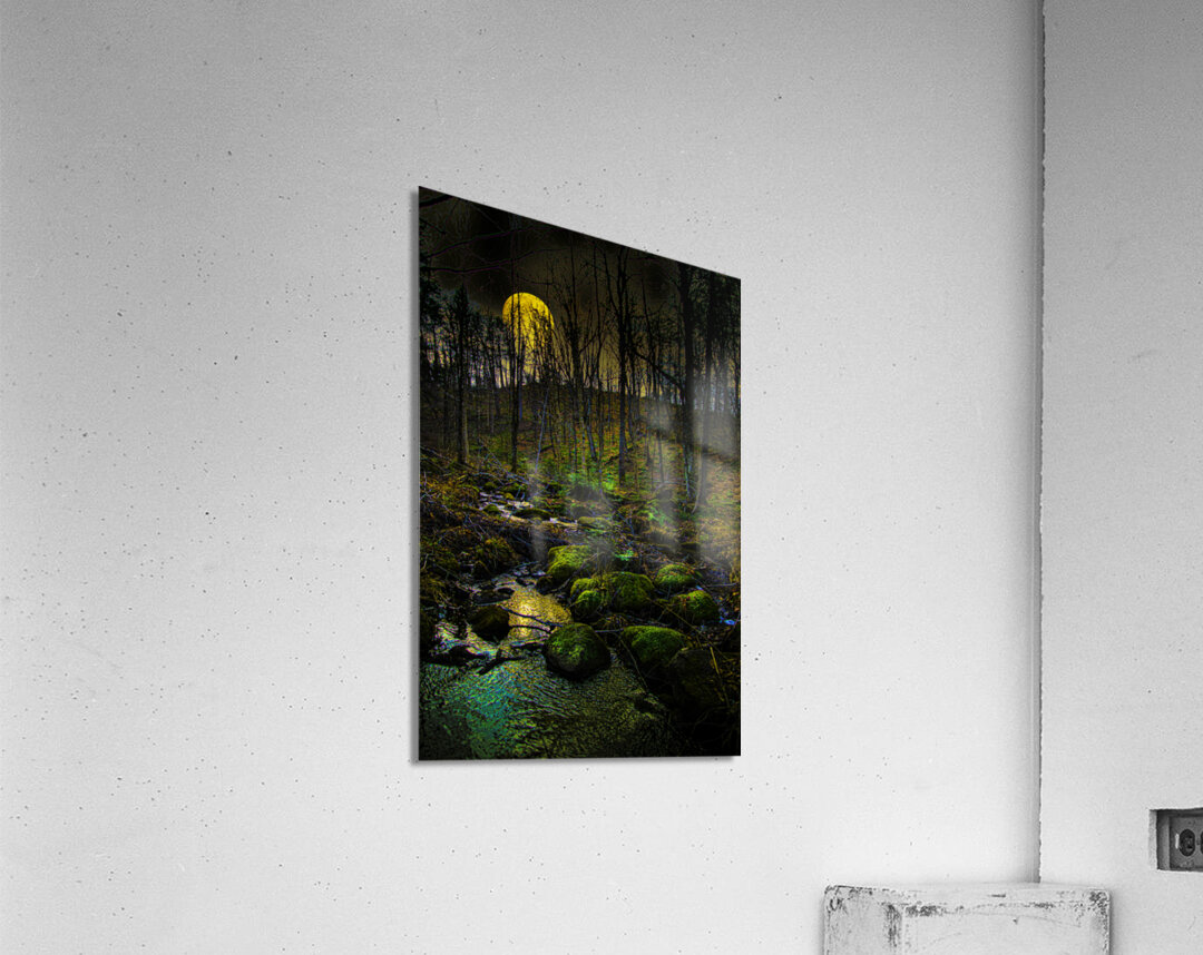 JBS 9682  Acrylic Print