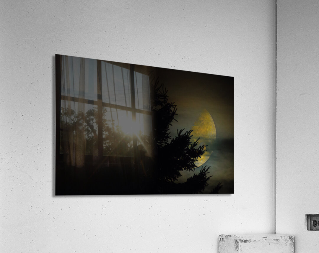 JBS 9933  Acrylic Print