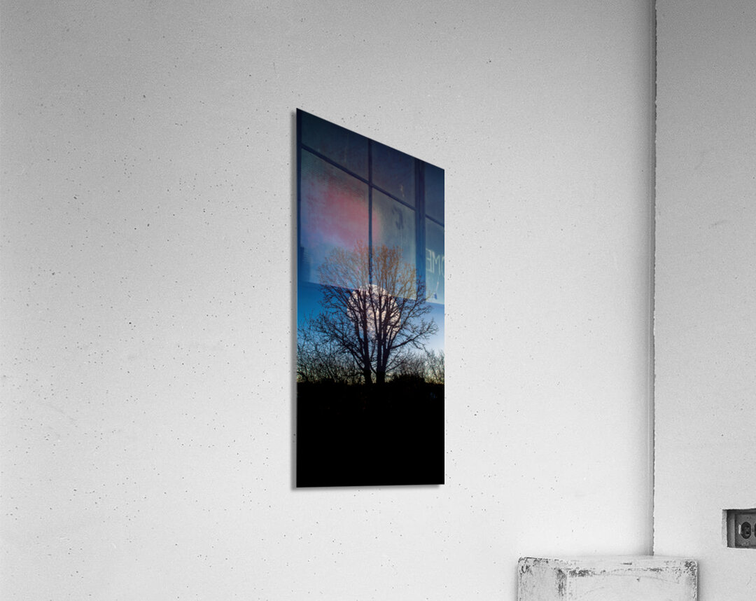 JBS 0046  Acrylic Print