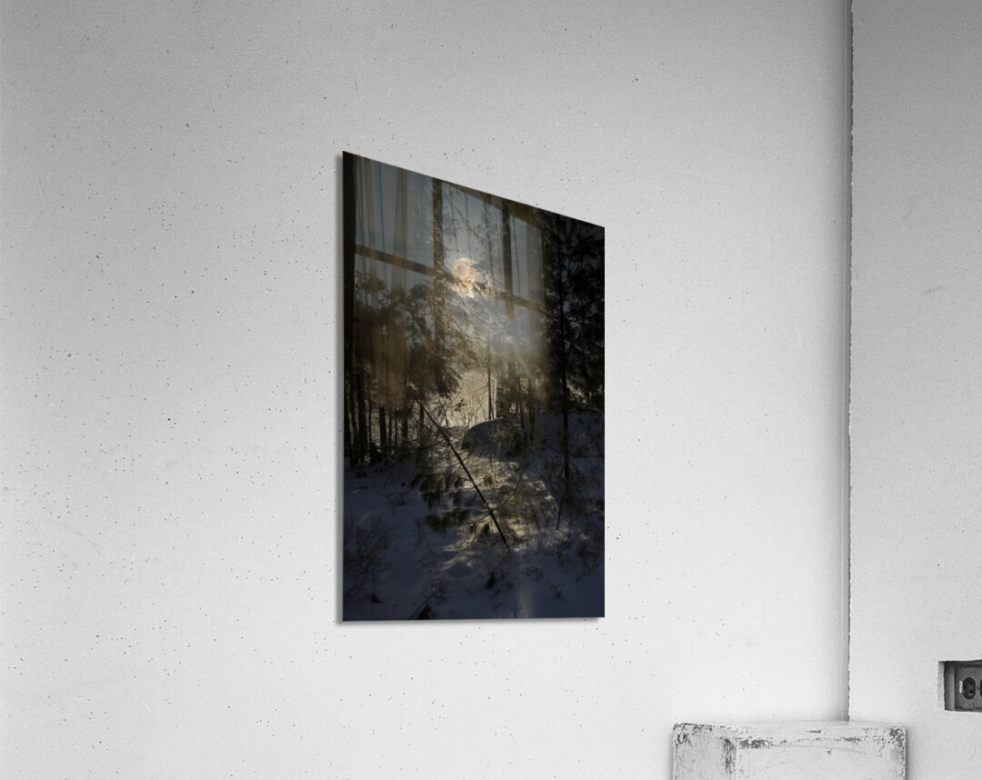 JBS 8757  Acrylic Print