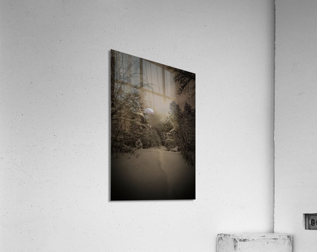 Z62 0235 2  Acrylic Print